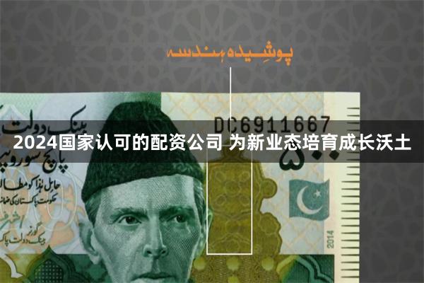 2024国家认可的配资公司 为新业态培育成长沃土