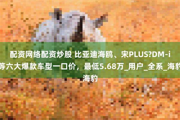 配资网络配资炒股 比亚迪海鸥、宋PLUS?DM-i等六大爆款车型一口价，最低5.68万_用户_全系_海豹