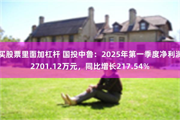 买股票里面加杠杆 国投中鲁：2025年第一季度净利润2701.12万元，同比增长217.54%