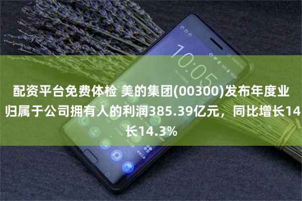 配资平台免费体检 美的集团(00300)发布年度业绩，归属于公司拥有人的利润385.39亿元，同比增长14.3%