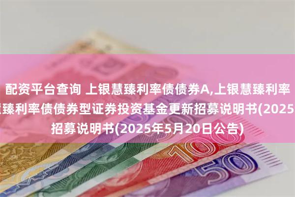 配资平台查询 上银慧臻利率债债券A,上银慧臻利率债债券C: 上银慧臻利率债债券型证券投资基金更新招募说明书(2025年5月20日公告)