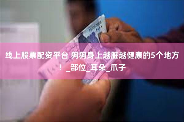 线上股票配资平台 狗狗身上越脏越健康的5个地方！_部位_耳朵_爪子