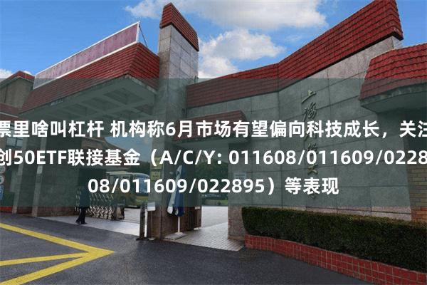 股票里啥叫杠杆 机构称6月市场有望偏向科技成长，关注易方达上证科创50ETF联接基金（A/C/Y: 011608/011609/022895）等表现
