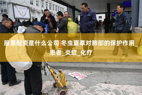 股票配资是什么公司 冬虫夏草对肺部的保护作用_患者_炎症_化疗