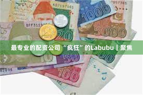 最专业的配资公司 “疯狂”的Labubu｜聚焦