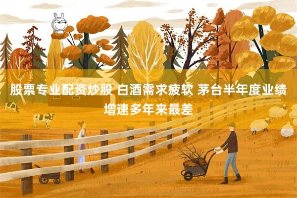 股票专业配资炒股 白酒需求疲软 茅台半年度业绩增速多年来最差