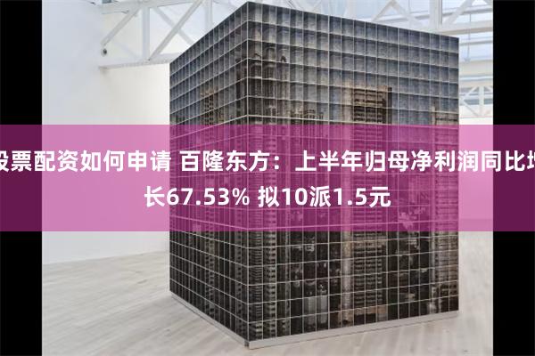 股票配资如何申请 百隆东方：上半年归母净利润同比增长67.53% 拟10派1.5元